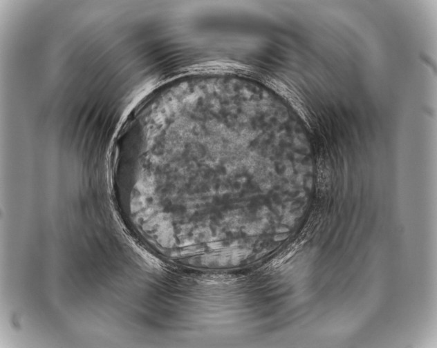 X0000094791083200712071223