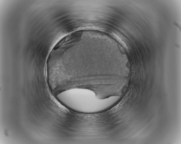 X0000094791084200712071223