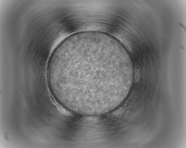 X0000094791086200712071223