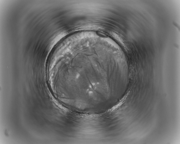 X0000094791087200712071223