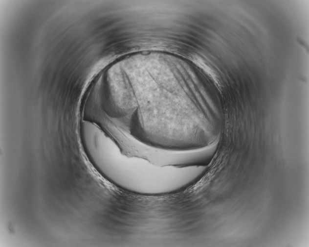 X0000094791088200712071223