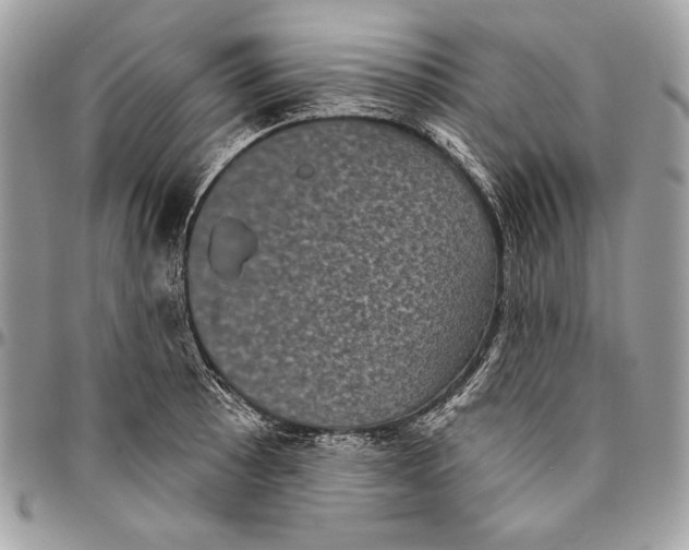 X0000094791089200712071223