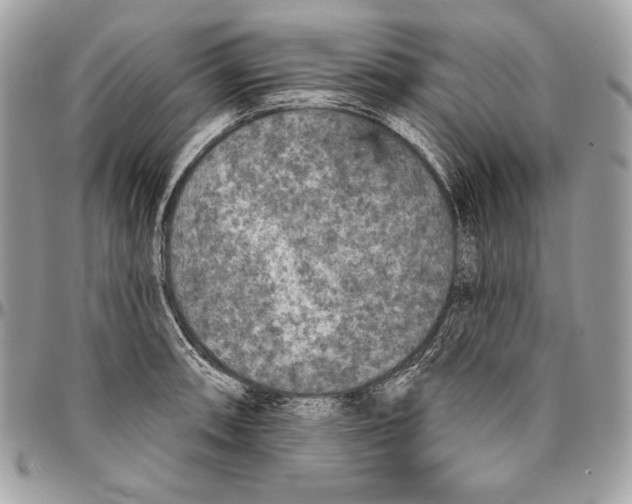 X0000094791090200712071223