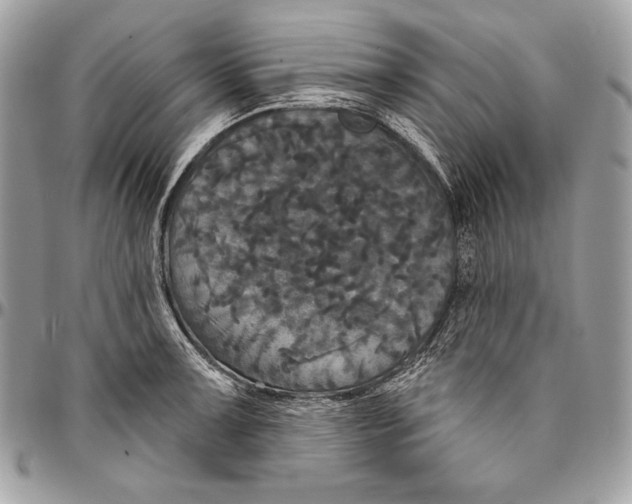 X0000094791091200712071223