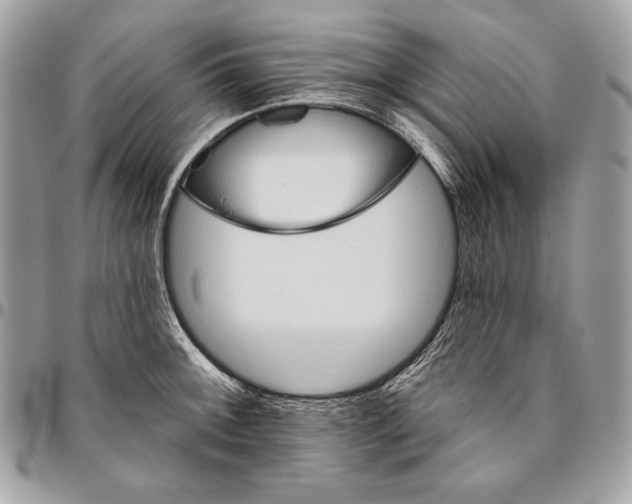 X0000094791092200712071223