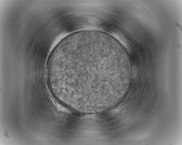 X0000094791094200712071223