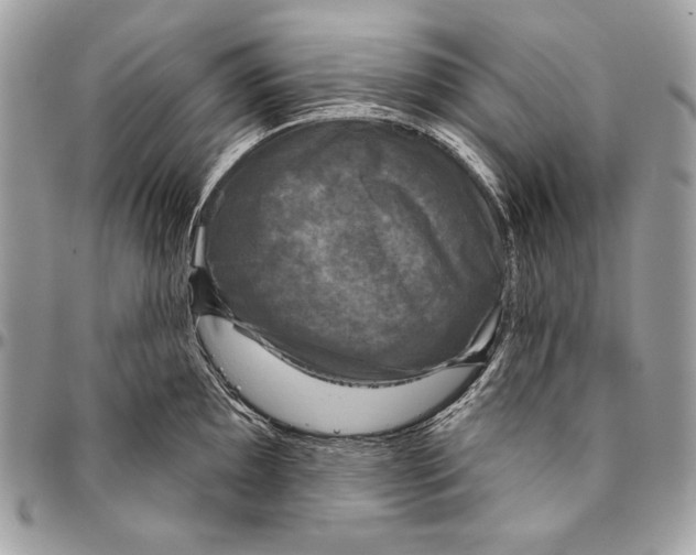 X0000094791097200712071222