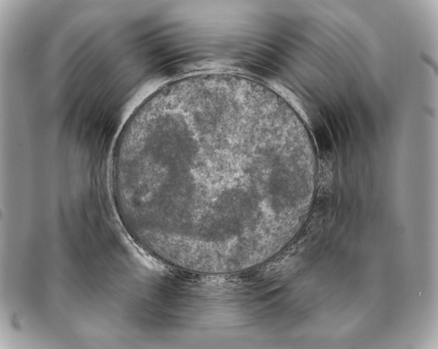 X0000094791098200712071222