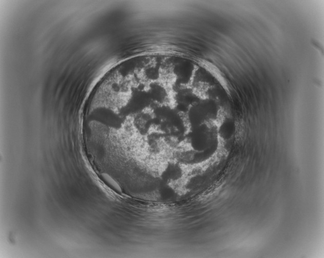 X0000094791099200712071222