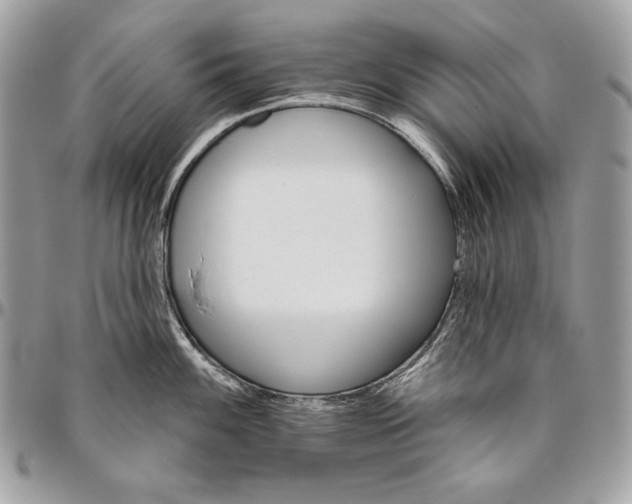 X0000094791100200712071222