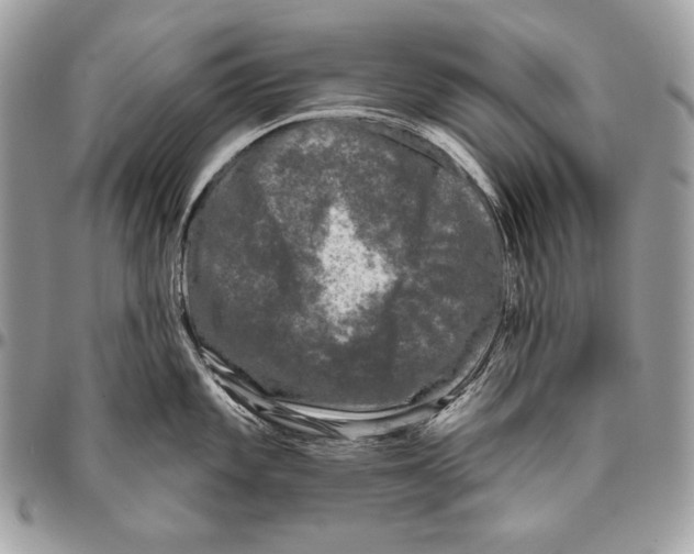 X0000094791101200712071222