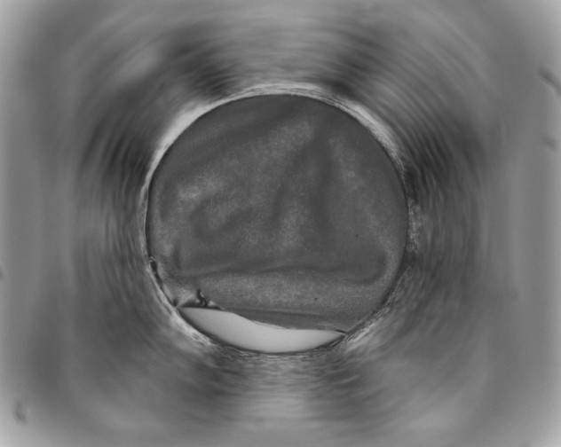 X0000094791102200712071222