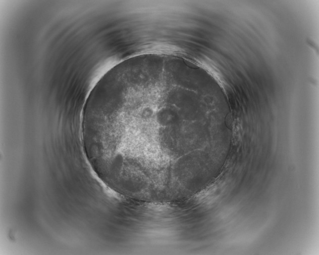 X0000094791103200712071222