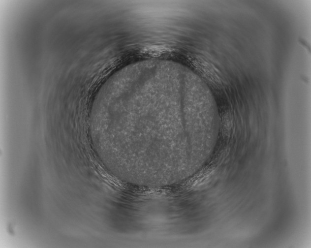 X0000094791105200712071222