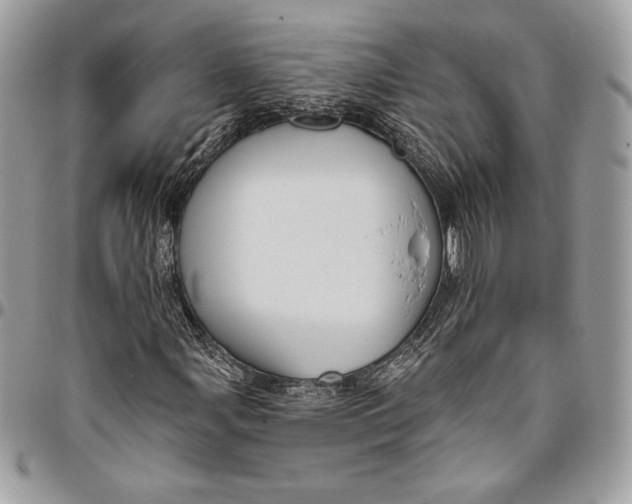 X0000094791107200712071222