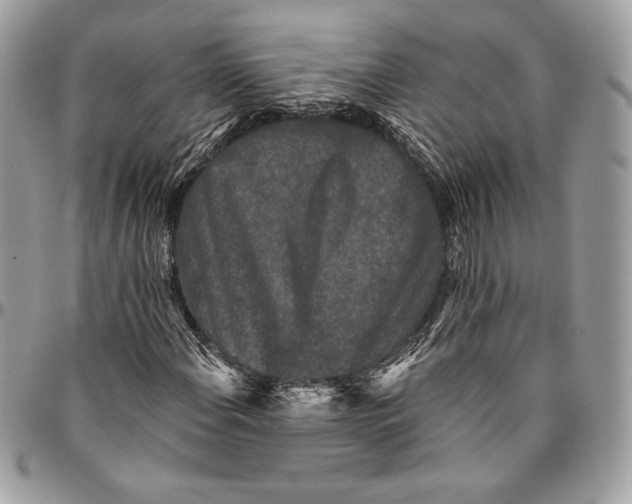 X0000094791108200712071222