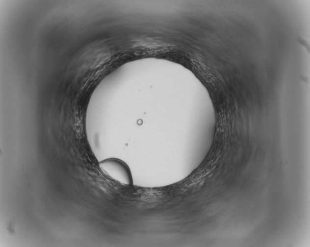 X0000094791109200712071222