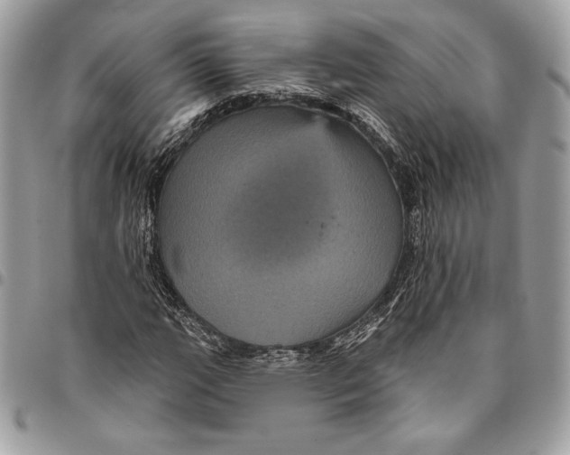 X0000094791111200712071222