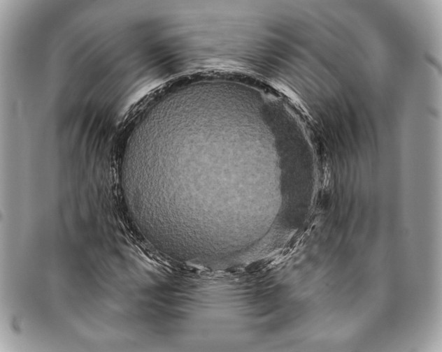 X0000094791112200712071222