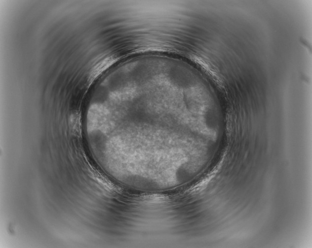 X0000094791113200712071222