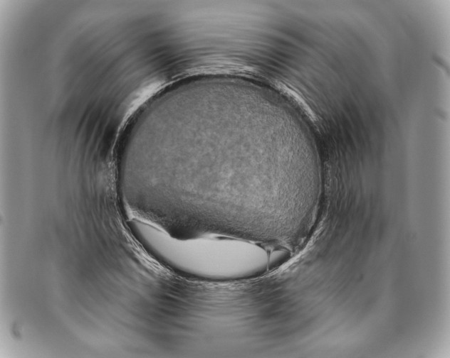 X0000094791114200712071222