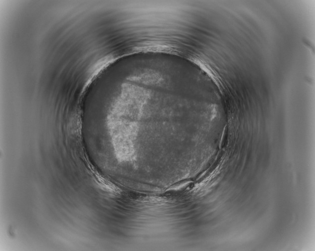 X0000094791115200712071222