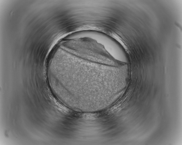 X0000094791116200712071222