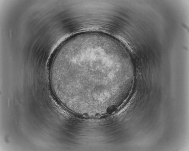 X0000094791118200712071222