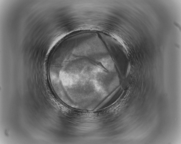 X0000094791120200712071222