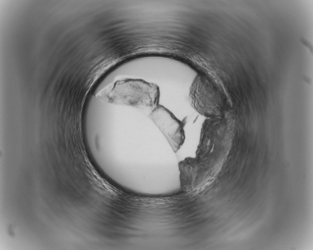 X0000094791121200712071222