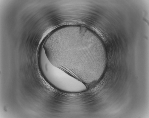 X0000094791122200712071222