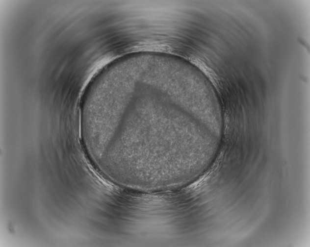 X0000094791123200712071222