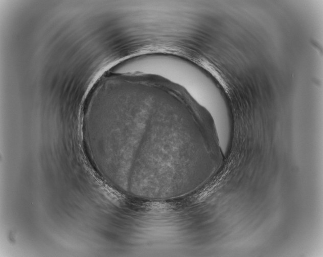 X0000094791124200712071222