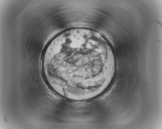 X0000094791125200712071222