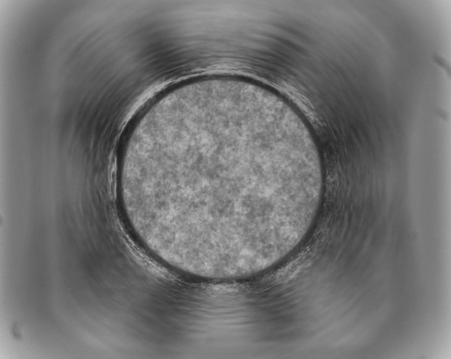 X0000094791126200712071222