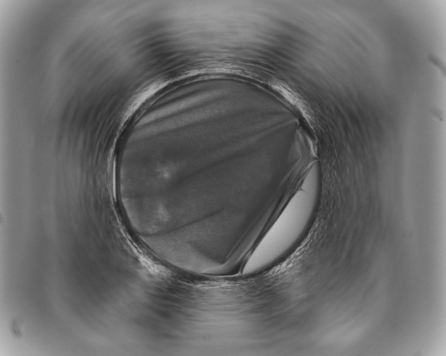 X0000094791127200712071222