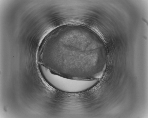 X0000094791128200712071222