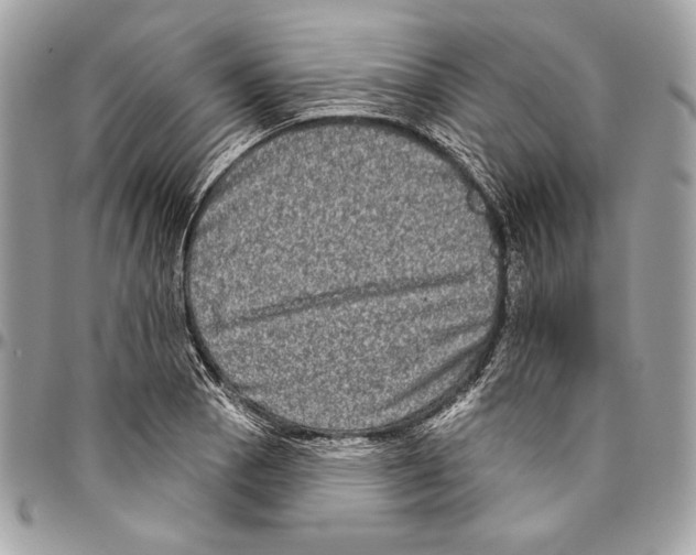 X0000094791129200712071222