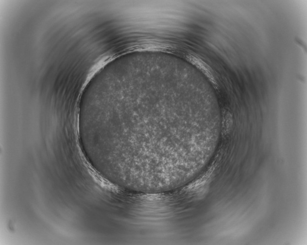 X0000094791130200712071222