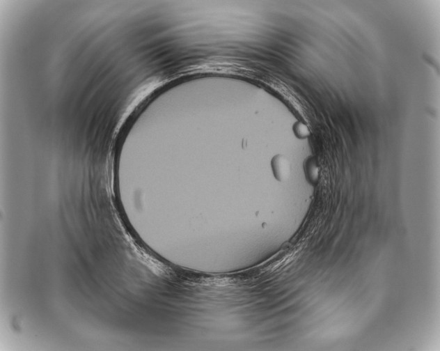 X0000094791131200712071222