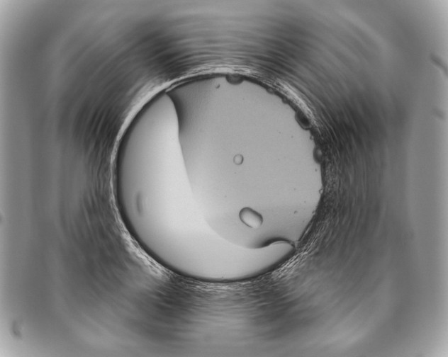 X0000094791132200712071222