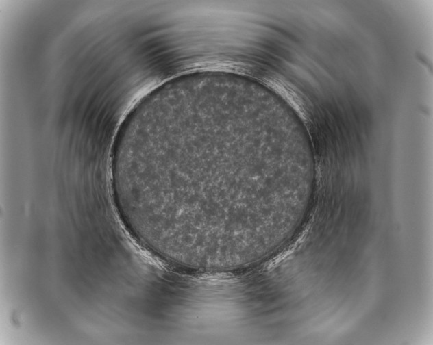 X0000094791133200712071222