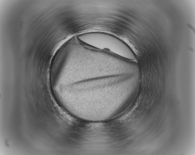 X0000094791134200712071222