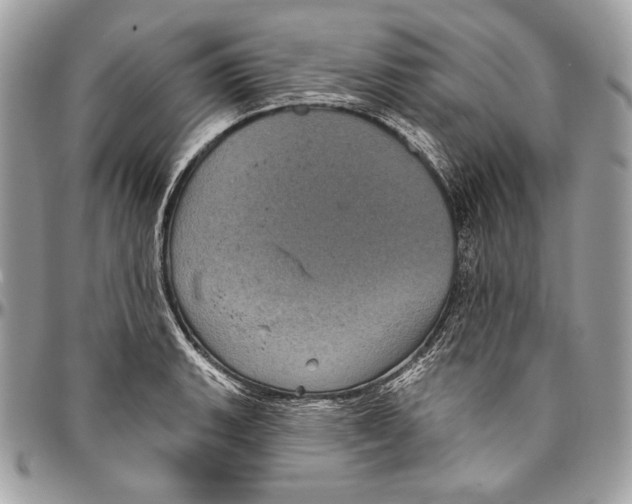 X0000094791135200712071222