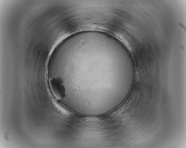 X0000094791136200712071222