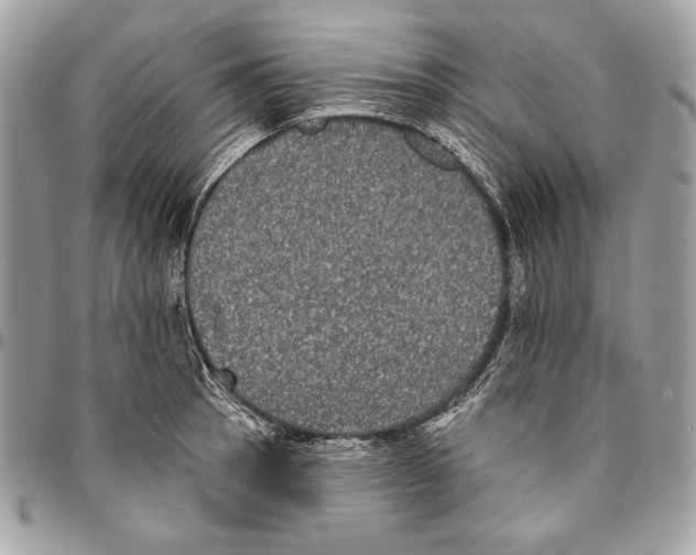 X0000094791137200712071222