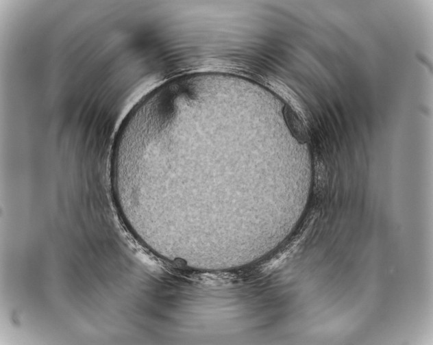 X0000094791138200712071222