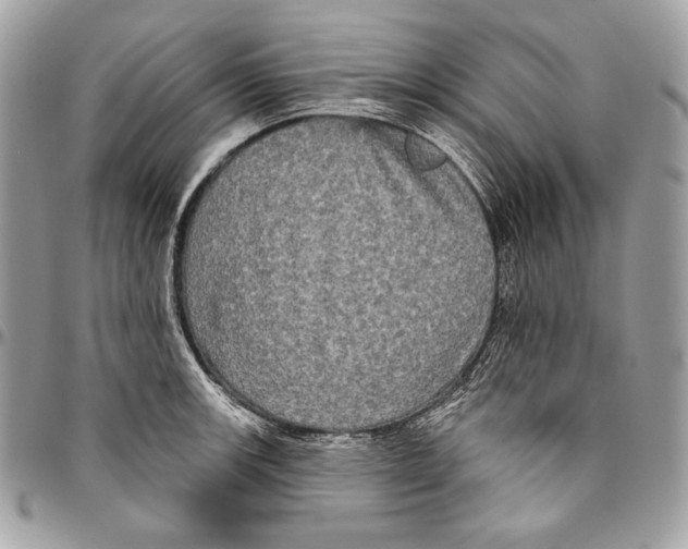 X0000094791139200712071222