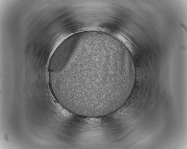 X0000094791140200712071222