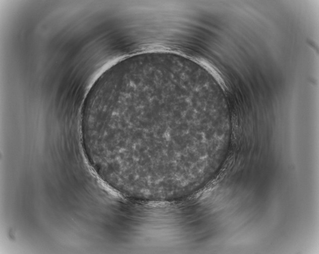 X0000094791142200712071222